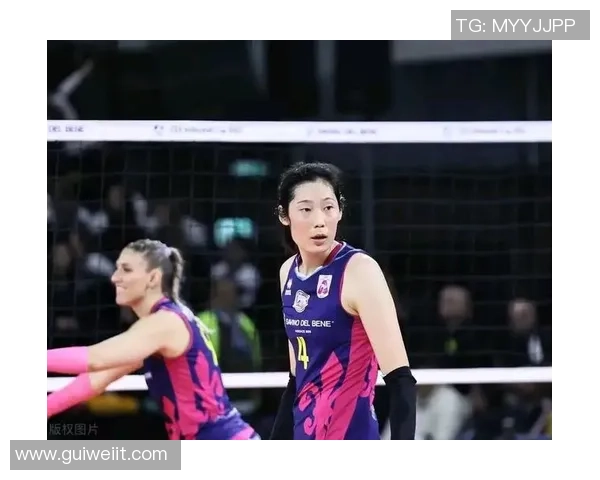 重庆排球队实力强劲荣登排球个人能力排行榜第五名