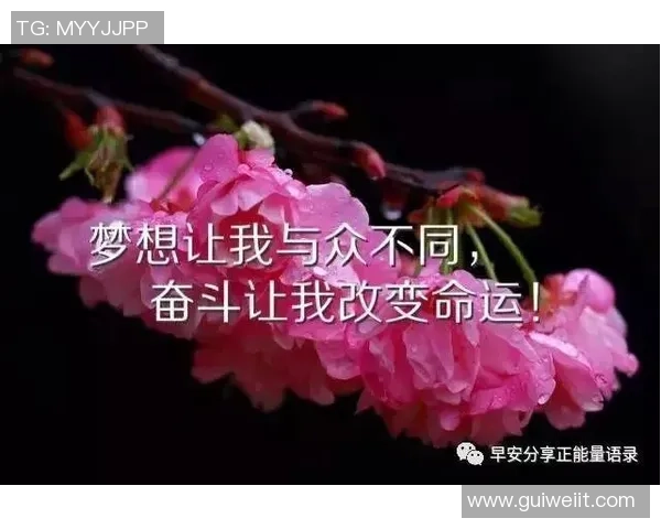 足球明星的励志名言简短精炼激励你追逐梦想的力量